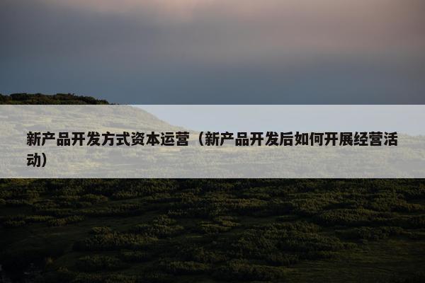 新产品开发方式资本运营（新产品开发后如何开展经营活动）