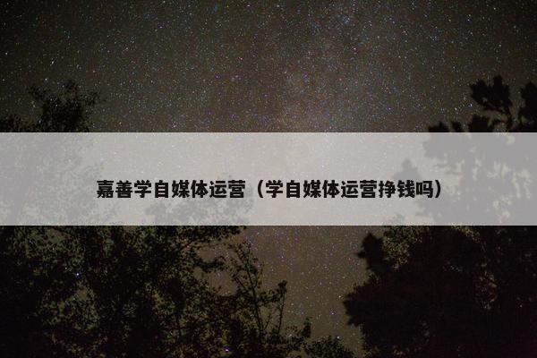 嘉善学自媒体运营（学自媒体运营挣钱吗）