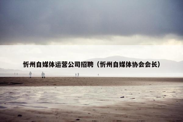 忻州自媒体运营公司招聘（忻州自媒体协会会长）