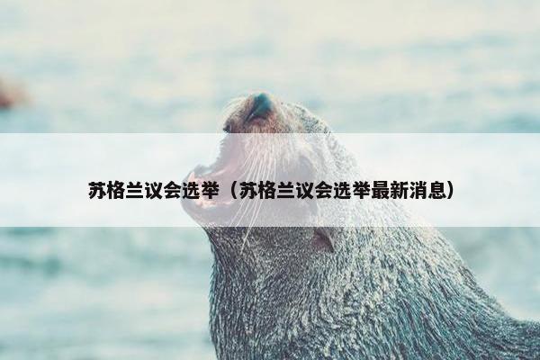 苏格兰议会选举（苏格兰议会选举最新消息）