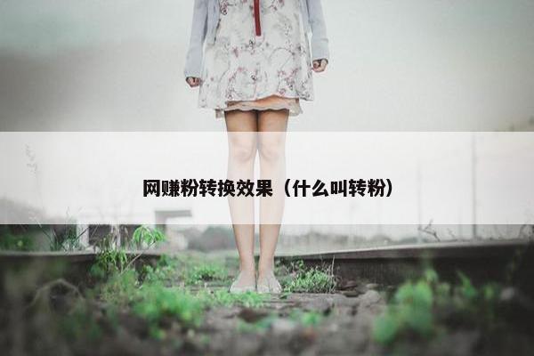 网赚粉转换效果（什么叫转粉）