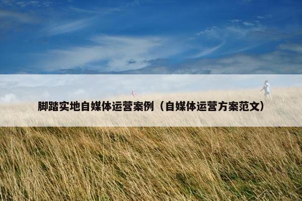 脚踏实地自媒体运营案例（自媒体运营方案范文）