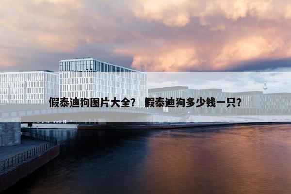 假泰迪狗图片大全？ 假泰迪狗多少钱一只？