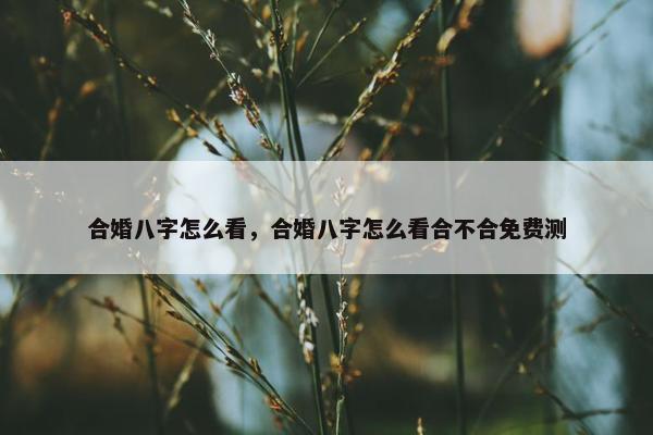 合婚八字怎么看，合婚八字怎么看合不合免费测