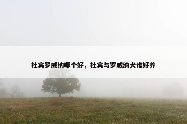 杜宾罗威纳哪个好，杜宾与罗威纳犬谁好养