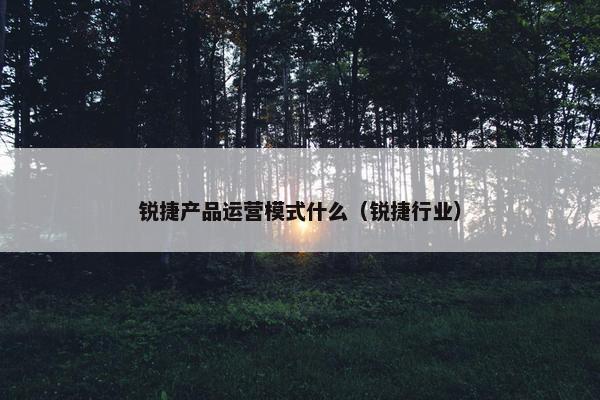 锐捷产品运营模式什么（锐捷行业）