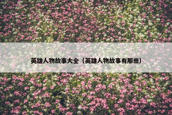 英雄人物故事大全（英雄人物故事有那些）