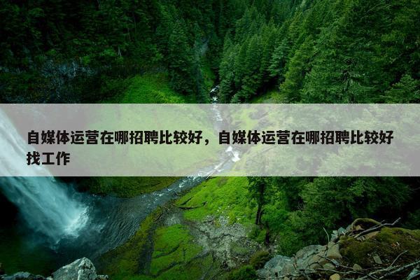 自媒体运营在哪招聘比较好，自媒体运营在哪招聘比较好找工作