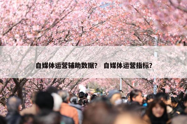 自媒体运营辅助数据？ 自媒体运营指标？