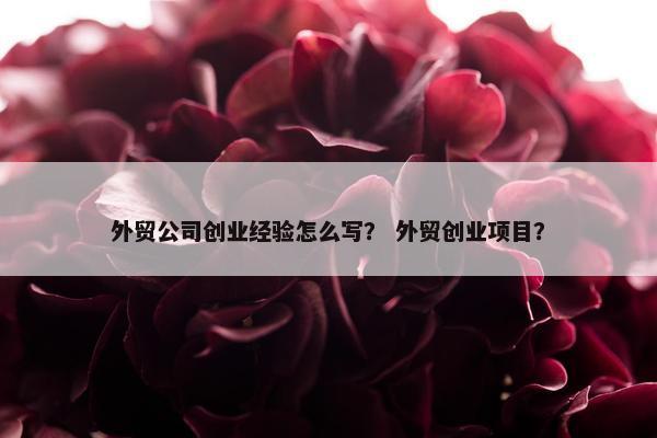 外贸公司创业经验怎么写？ 外贸创业项目？