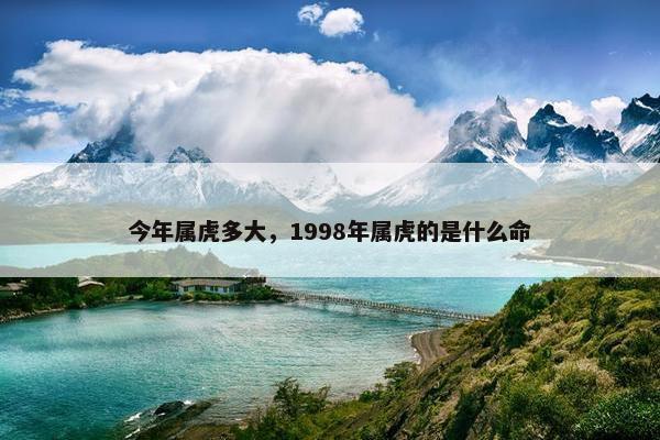 今年属虎多大，1998年属虎的是什么命
