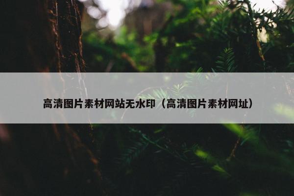高清图片素材网站无水印（高清图片素材网址）