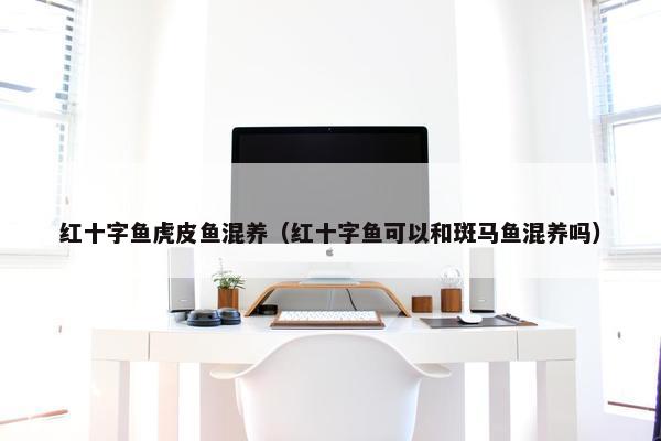 红十字鱼虎皮鱼混养（红十字鱼可以和斑马鱼混养吗）