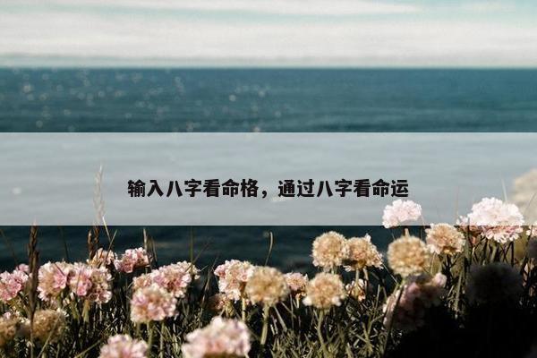 输入八字看命格，通过八字看命运
