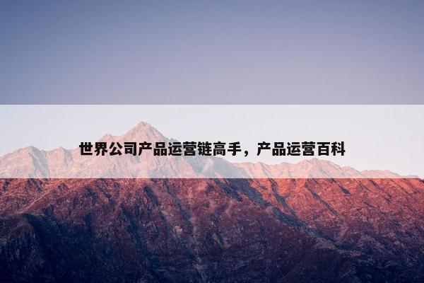 世界公司产品运营链高手，产品运营百科