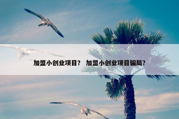 加盟小创业项目？ 加盟小创业项目骗局？