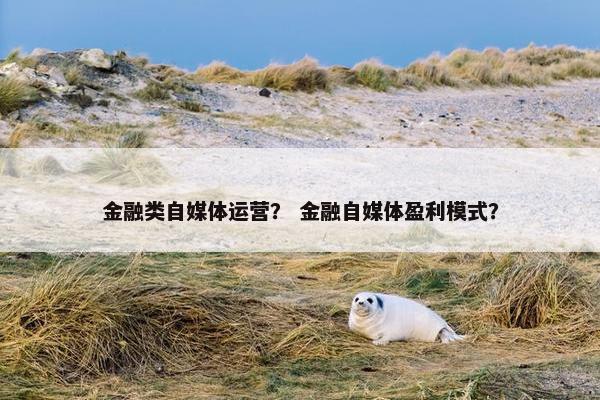 金融类自媒体运营？ 金融自媒体盈利模式？