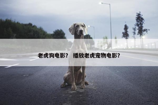 老虎狗电影？ 播放老虎宠物电影？