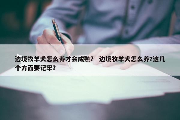 边境牧羊犬怎么养才会成熟？ 边境牧羊犬怎么养?这几个方面要记牢？