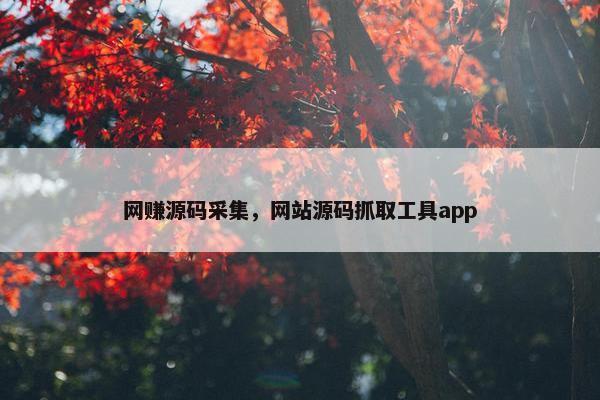 网赚源码采集，网站源码抓取工具app