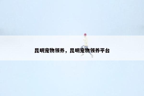 昆明宠物领养，昆明宠物领养平台