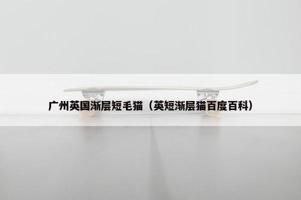 广州英国渐层短毛猫（英短渐层猫百度百科）