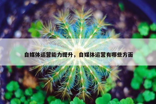 自媒体运营能力提升，自媒体运营有哪些方面