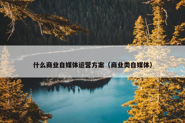 什么商业自媒体运营方案（商业类自媒体）