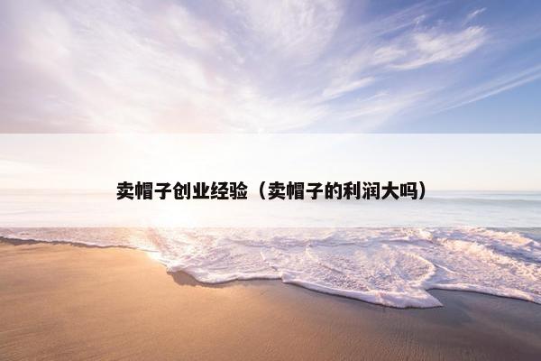 卖帽子创业经验（卖帽子的利润大吗）