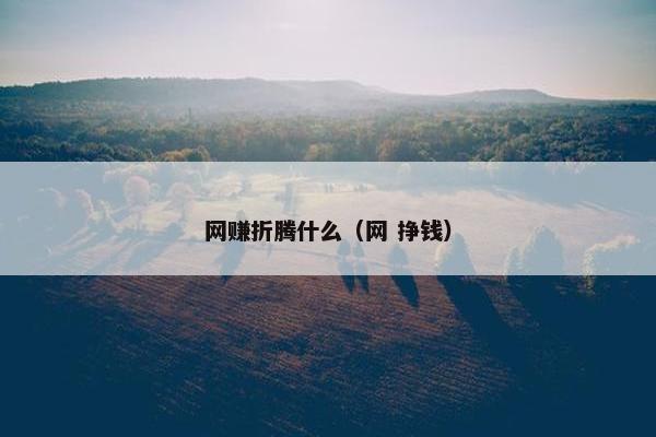 网赚折腾什么（网 挣钱）