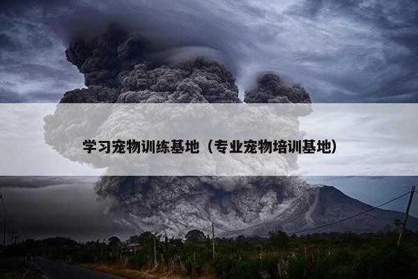 学习宠物训练基地（专业宠物培训基地）