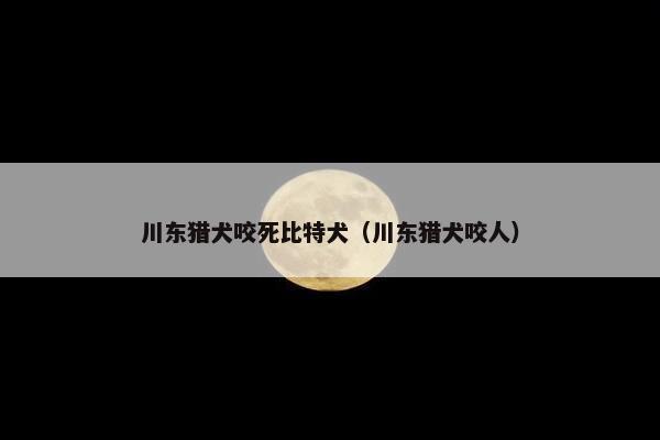 川东猎犬咬死比特犬（川东猎犬咬人）