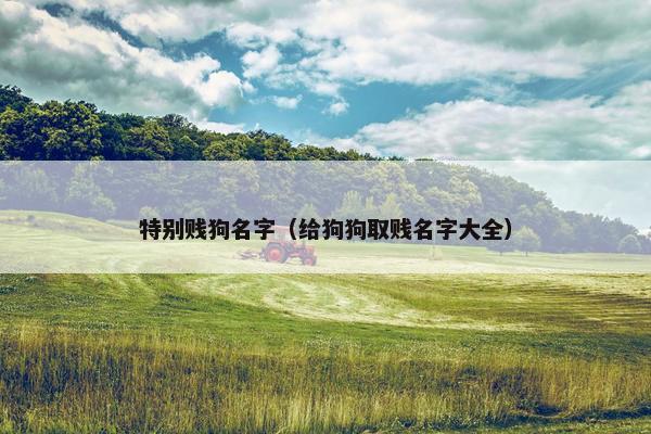 特别贱狗名字（给狗狗取贱名字大全）