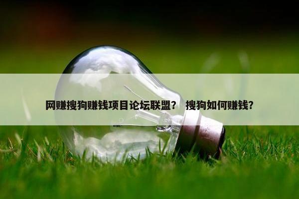 网赚搜狗赚钱项目论坛联盟？ 搜狗如何赚钱？
