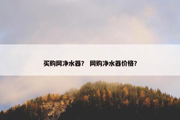 买购网净水器？ 网购净水器价格？