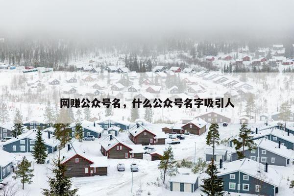 网赚公众号名，什么公众号名字吸引人