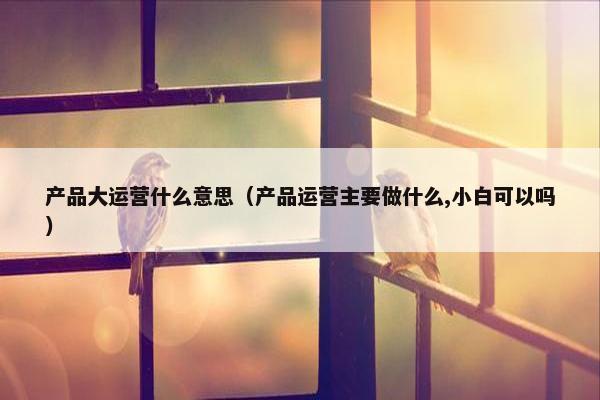 产品大运营什么意思（产品运营主要做什么,小白可以吗）