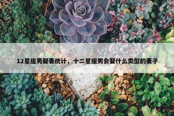 12星座男娶妻统计，十二星座男会娶什么类型的妻子