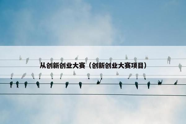 从创新创业大赛（创新创业大赛项目）