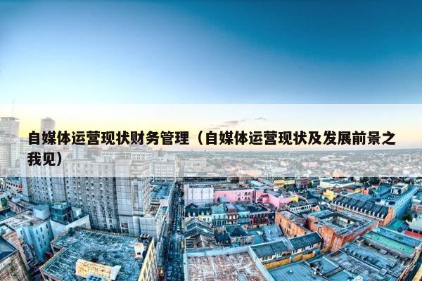 自媒体运营现状财务管理（自媒体运营现状及发展前景之我见）