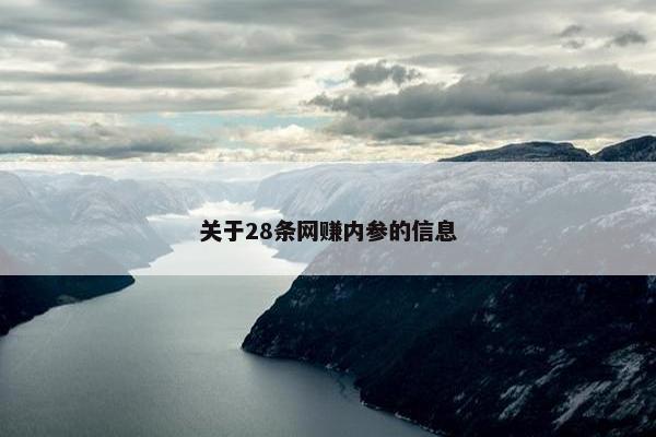 关于28条网赚内参的信息