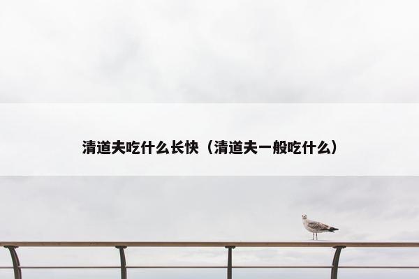 清道夫吃什么长快（清道夫一般吃什么）