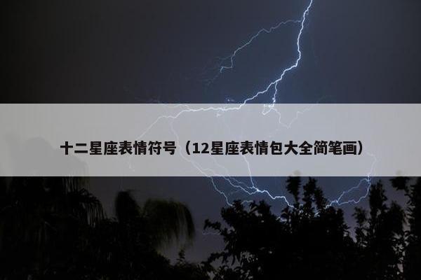 十二星座表情符号（12星座表情包大全简笔画）