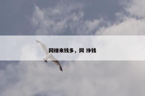 网赚来钱多，网 挣钱