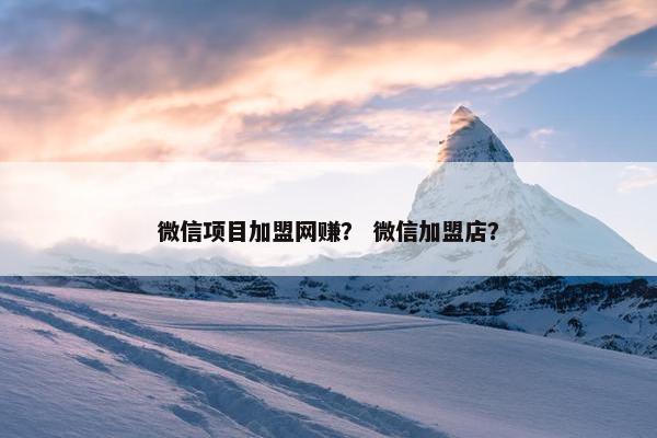 微信项目加盟网赚？ 微信加盟店？