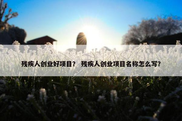残疾人创业好项目？ 残疾人创业项目名称怎么写？