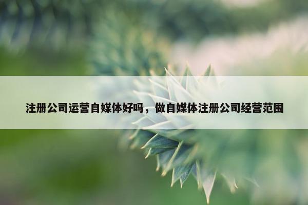 注册公司运营自媒体好吗，做自媒体注册公司经营范围