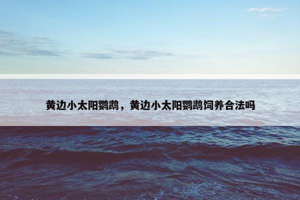 黄边小太阳鹦鹉，黄边小太阳鹦鹉饲养合法吗