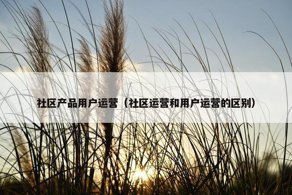 社区产品用户运营（社区运营和用户运营的区别）