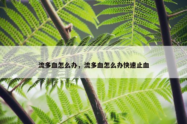流多血怎么办，流多血怎么办快速止血